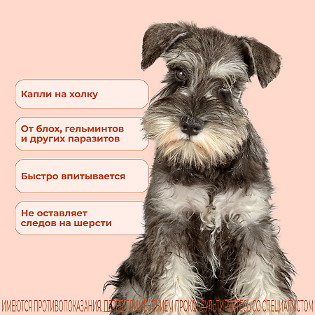 Селафорт для собак (5,1 - 10 кг) пипетка 0,5мл/60мг 1 шт