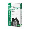 Селафорт для собак (20,1 - 40 кг) пипетка 2мл/240мг 1 шт