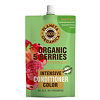 Planeta Organica ECO Organic 5 berries Бальзам для яркости цвета волос 5 ягод 200 мл 1 шт