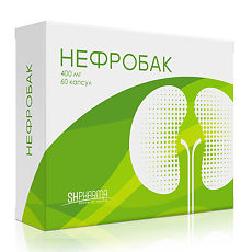 Купить Нефробак капсулы по 400 мг 60 шт цена