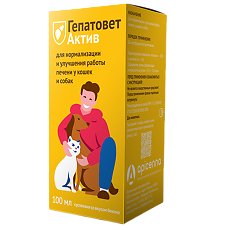 Изображение товара Гепатовет Актив суспензия для орального применения для кошек и собак со шприцем-доз (ВЕТ) 100 мл 1 шт
