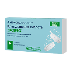 Купить Амоксициллин+Клавулановая кислота ЭКСПРЕСС таблетки диспергируемые 250 мг+62,5 мг 14 шт цена