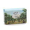 Мыло La Savonnerie de Nyons оливковые поля в бумажной упаковке 200 г 1 шт