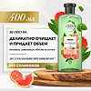 Herbal Essences Шампунь Белый грейпфрут и мята, 400 мл 1 шт