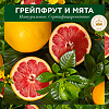 Herbal Essences Шампунь Белый грейпфрут и мята, 400 мл 1 шт