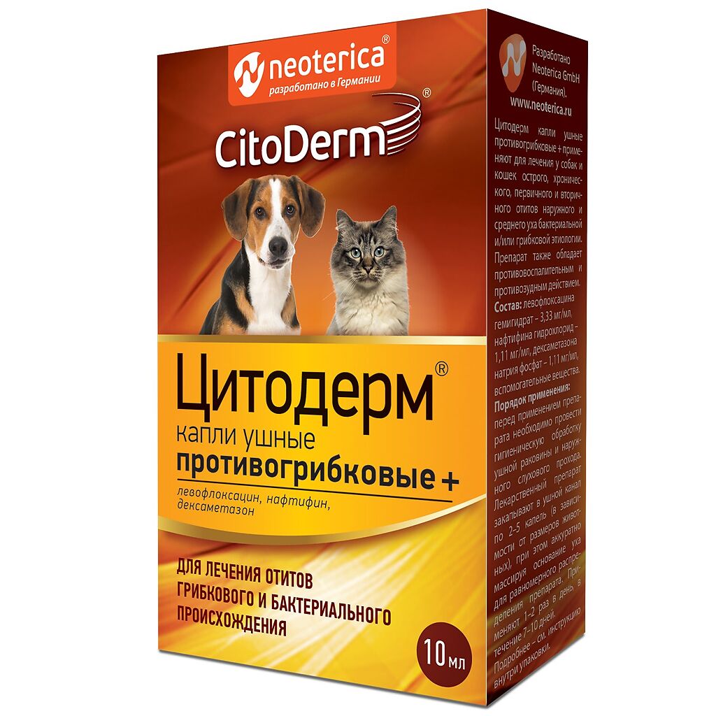 Грибок у собаки: лечение, список противогрипковых препаратов