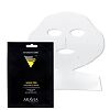 Aravia Professional Экспресс-маска сияние для всех типов кожи Magic 32 г 1 шт
