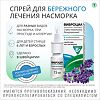 Виброцил спрей назальный дозированный 35,125 мкг/доза+351,25 мкг/доза 15 мл 1 шт