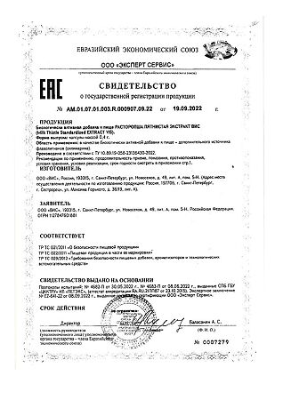 Расторопши пятнистой экстракт ВИС / Milk Thistle Standardized exrtact-VIS капсулы массой 0,4 г 30 шт