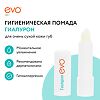 EVO Гиалурон Помада гигиеническая для очень сухой кожи губ 2,8 г 1 шт
