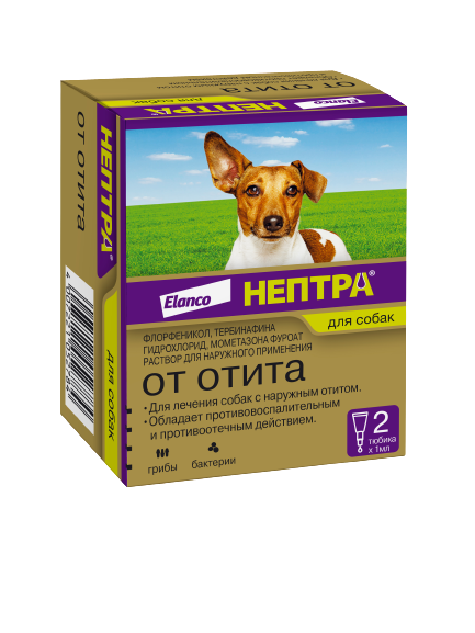 Озон как целительное вещество