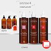 System 4 Комплекс от выпадения волос макси (шампунь против выпадения волос 500мл+сыворотка против выпадения волос 500 мл+маска-пилинг О для волос 500 мл) 1 уп