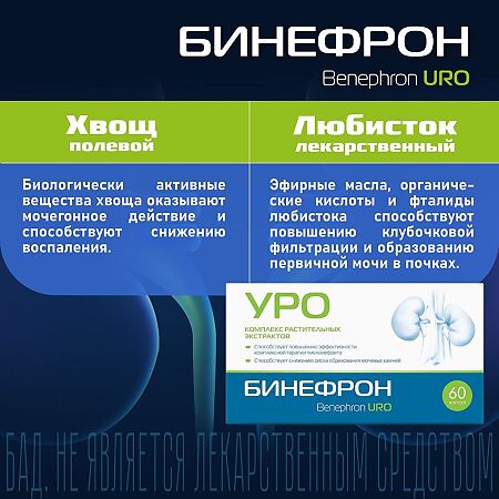 Бинефрон УРО (Benephron URO) капсулы массой 0,46 г 60 шт