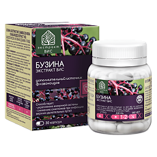Купить Бузина экстракт ВИС / Sambucus nigra Standardized extract VIS капсулы массой 0,45 г 30 шт цена