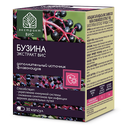 Бузина экстракт ВИС / Sambucus nigra Standardized extract VIS капсулы массой 0,45 г 30 шт