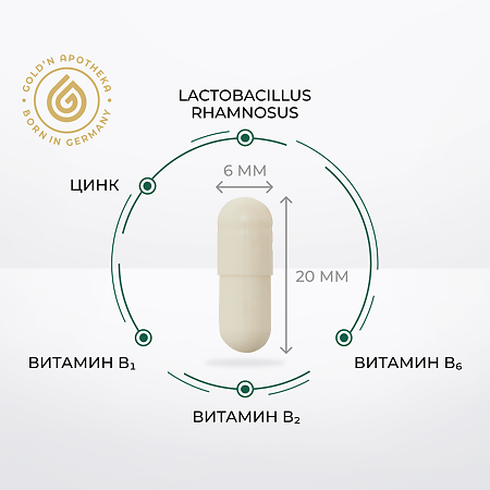 Gold'n Apotheka Healthy Digestion Лактобактерии и витамины (Lactobacillus& Vitamins) капсулы массой 600 мг 20 шт