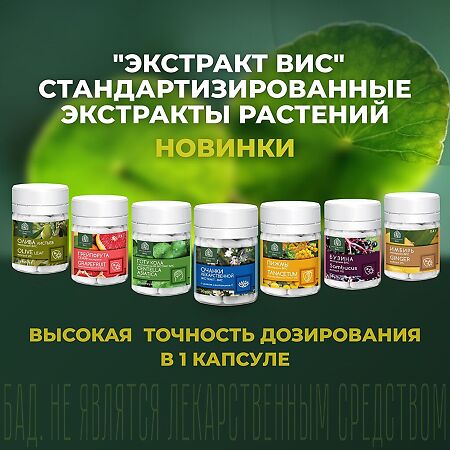 Готу Кола (Центеллы азиатской) экстракт ВИС с витамином В3 / Gotu Kola (Centella asiatica) Standardized extrat капсулы массой 0,3 г 30 шт