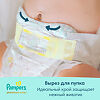 Подгузники Памперс (Pampers) Premium Care Newborn 2-5 кг 66 шт