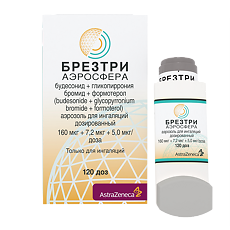 Купить Брезтри Аэросфера аэрозоль для ингаляций дозированный 160 мкг+7,2 мкг+5 мкг/доза 120 доз цена