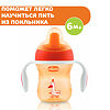 Chicco Поильник Training Cup 6м+ оранжевый 1 шт