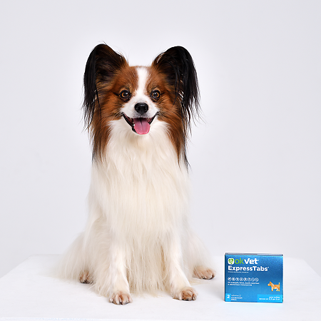 OkVet ExpressTabs от клещей, блох, вшей и гельминтов для собак от 2,5 кг до 5 кг таблетки 2 шт