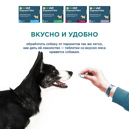 OkVet ExpressTabs от клещей, блох, вшей и гельминтов для собак от 2,5 кг до 5 кг таблетки 2 шт