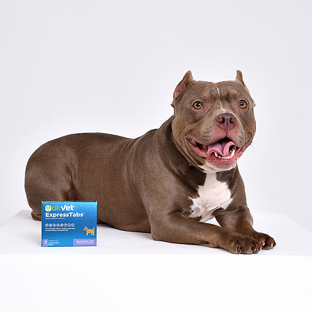 OkVet ExpressTabs от клещей, блох, вшей и гельминтов для собак от 30 кг до 60 кг таблетки 2 шт