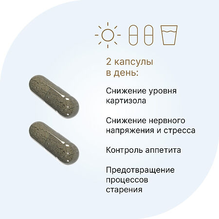 Кортизол контроль/Cortisol Control капсулы по 0,69 г 60 шт