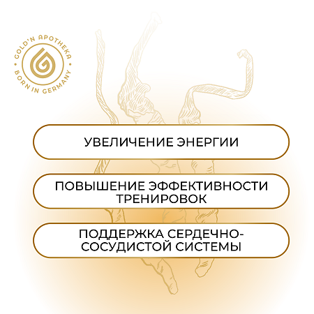 Gold'n Apotheka Workout Boost/Воркаут Буст капсулы массой 0,42 г 60 шт