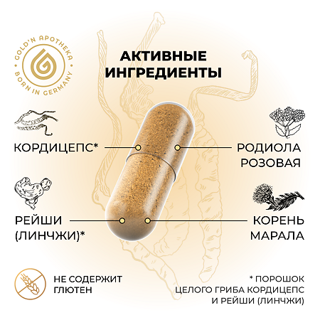 Gold'n Apotheka Workout Boost/Воркаут Буст капсулы массой 0,42 г 60 шт