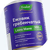 Ежовик гребенчатый/Lion’s mane 300 мг капсулы по 0,5 г, 60 шт
