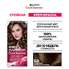 Garnier Color Sensation Краска для волос 5.0 Светлый Каштановый 1 шт