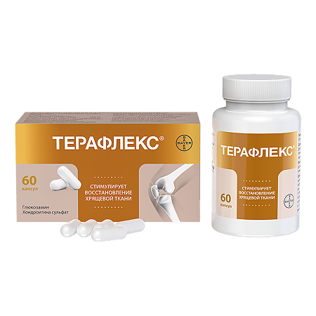 Терафлекс капсулы 500 мг+400 мг 60 шт