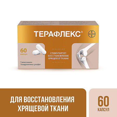 Терафлекс капсулы 500 мг+400 мг 60 шт