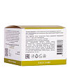 Aravia Laboratories Хлорофилл-каротиновая маска Anti-Acne Active Mask 150 мл 1 шт