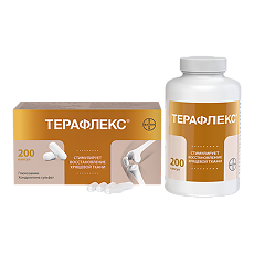 Изображение товара Терафлекс капсулы 500 мг+400 мг 200 шт
