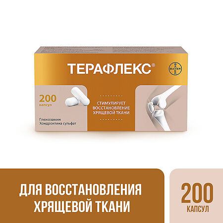 Терафлекс капсулы 500 мг+400 мг 200 шт