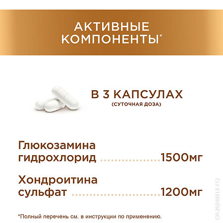 Терафлекс капсулы 500 мг+400 мг 200 шт