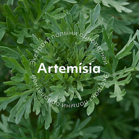 MISSHA Artemisia Calming Moisture Cream Успокаивающий крем для чувствительной кожи с экстрактом полыни 50 мл 1 шт