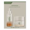 MISSHA Набор Artemisia Calming Крем для чувствительной кожи 50 мл+Сыворотка для чувствительной кожи 50 мл 1 уп