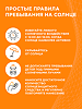 Garnier Ambre Solaire Молочко-автозагар для тела увлажняющее с маслом абрикосовой косточки 1 шт 200 мл