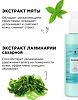 Mixit Spa Rituals Увлажняющее молочко для тела с экстрактами ламинарии и мяты 200 мл 1 шт