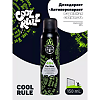 Cool Rule Дезодорант-Антиперспирант мужской Взрывная Свежесть 150 мл 1 шт