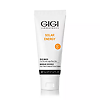 GIGI Solar Energy Маска грязевая для лица Mud mask for oil skin 75 мл 1 шт
