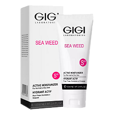 Купить GIGI Sea Weed Крем увлажняющий активный Active Moisturizer 100 мл 1 шт цена