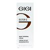 GIGI Ester C Ночной крем для лица Night Renewal cream 50 мл 1 шт