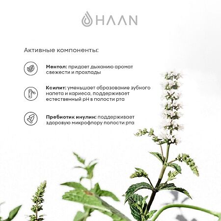Спрей для полости рта HAAN c пребиотиками без спирта Яблоко и мята 1 шт 20 мл