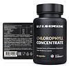 Хлорофилл Концентрат Премиум / Chlorophyll Concentrate Premium UltraBalance капсулы массой 400 мг 60 шт