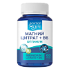 Доктор Море Магний цитрат+B6 оптимум/Magnesium Citrate+B6 optimum капсулы по 770 мг 60 шт