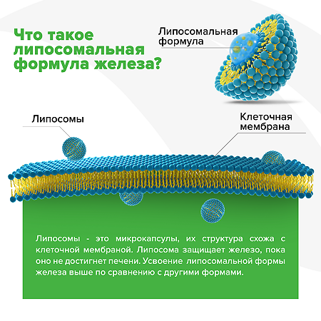 Липосомальное железо/Liposomal Iron капсулы массой 650 мг 90 шт